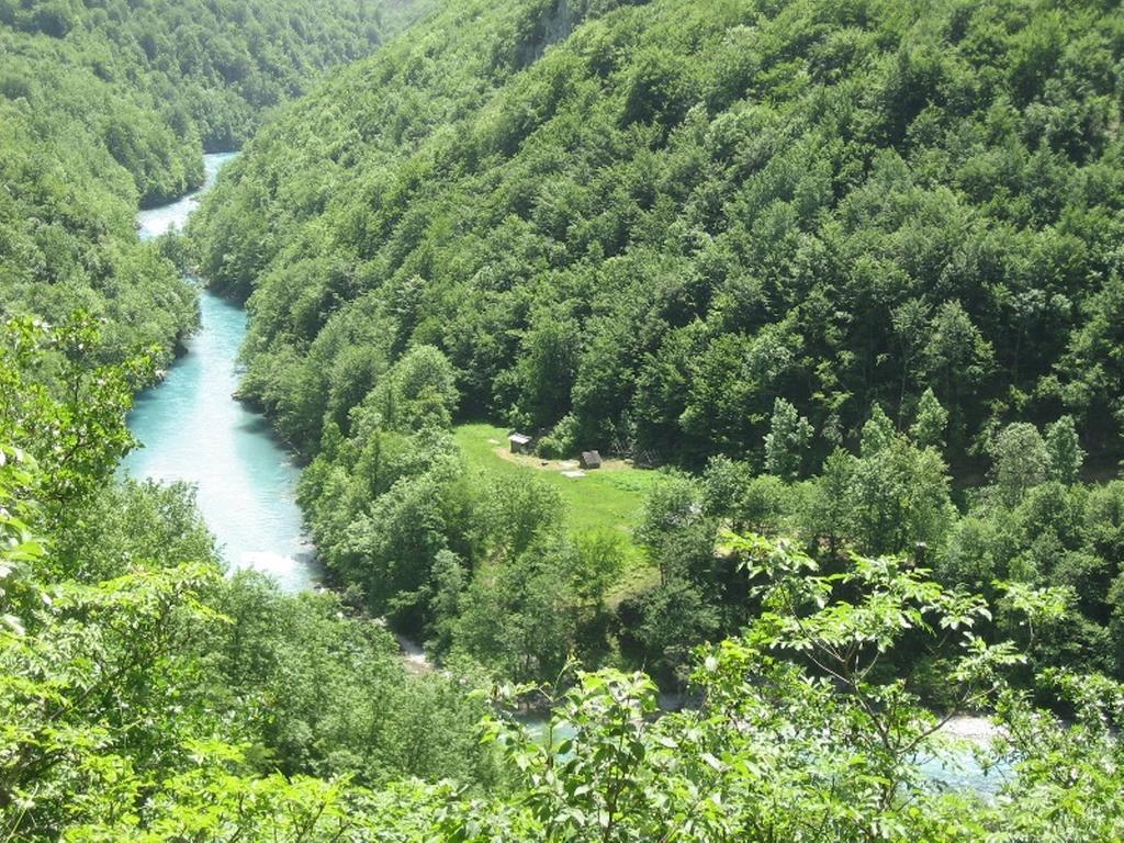 Tara Bridge Castle Hotel Zabljak  Room photo